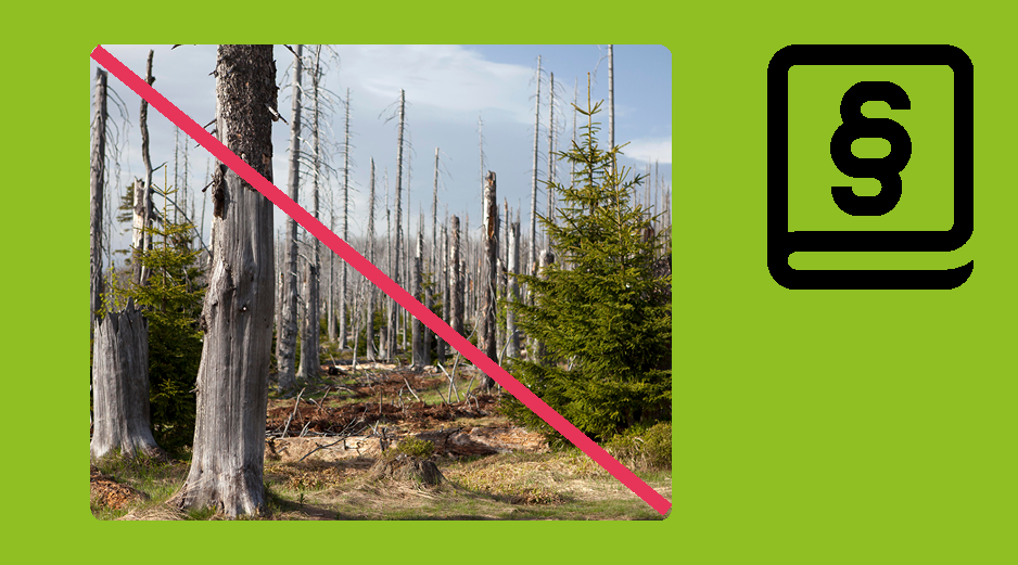 Durchgestrichenes Foto, auf dem ein zerstoerter Wald zu sehen ist.