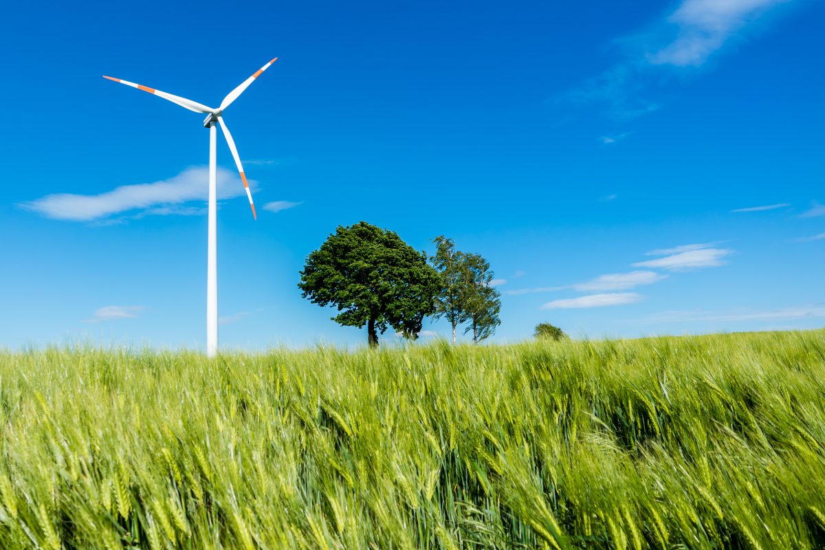 Windrad in Niedersachsen in Deutschland vor strahlend blauem Himmel mit einzelnen weißen Wolken. Im Vordergrund ist alles grün und im Hintergrund ist ein Baum zu sehen.